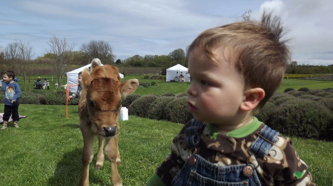 Dungeness Creamery, Tyler