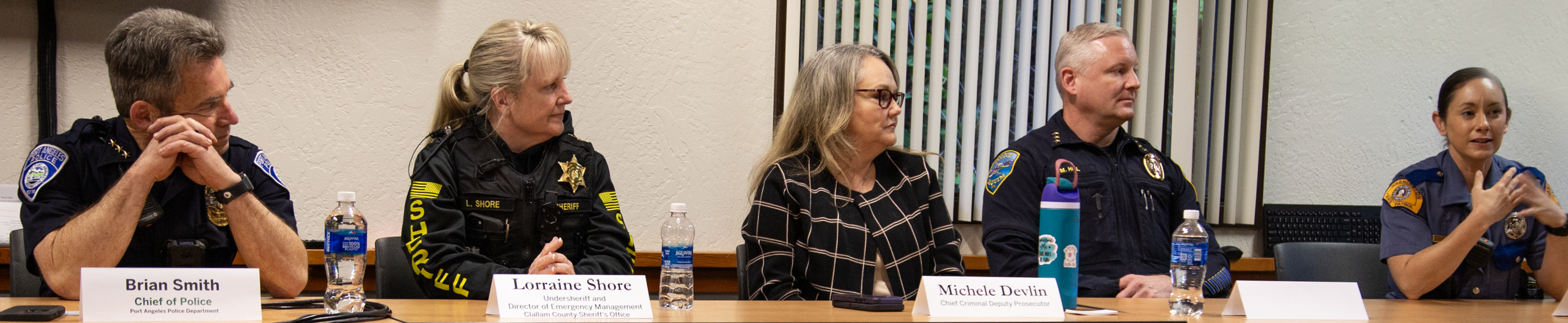 Panel of Law Enforcement Professionals