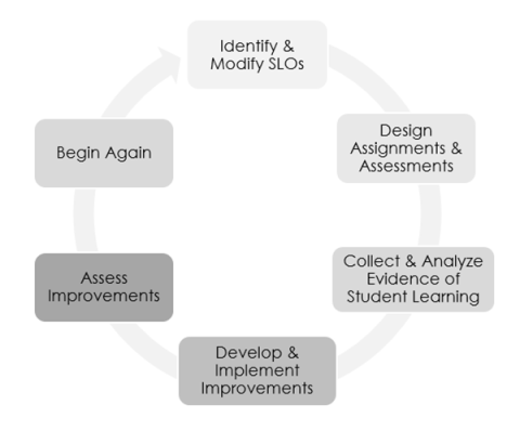 Assessment Cycle